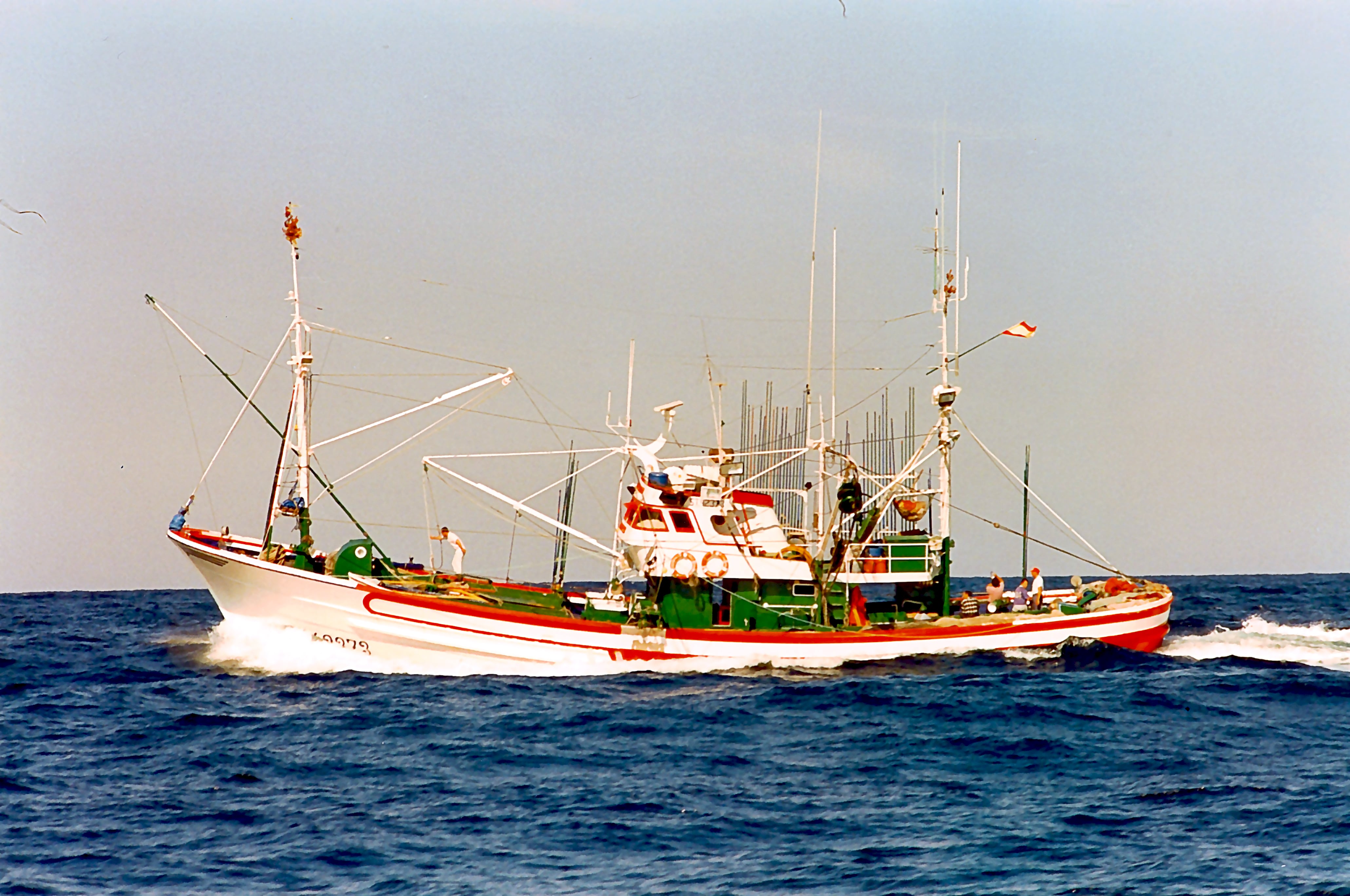 
AmparoMari2                    