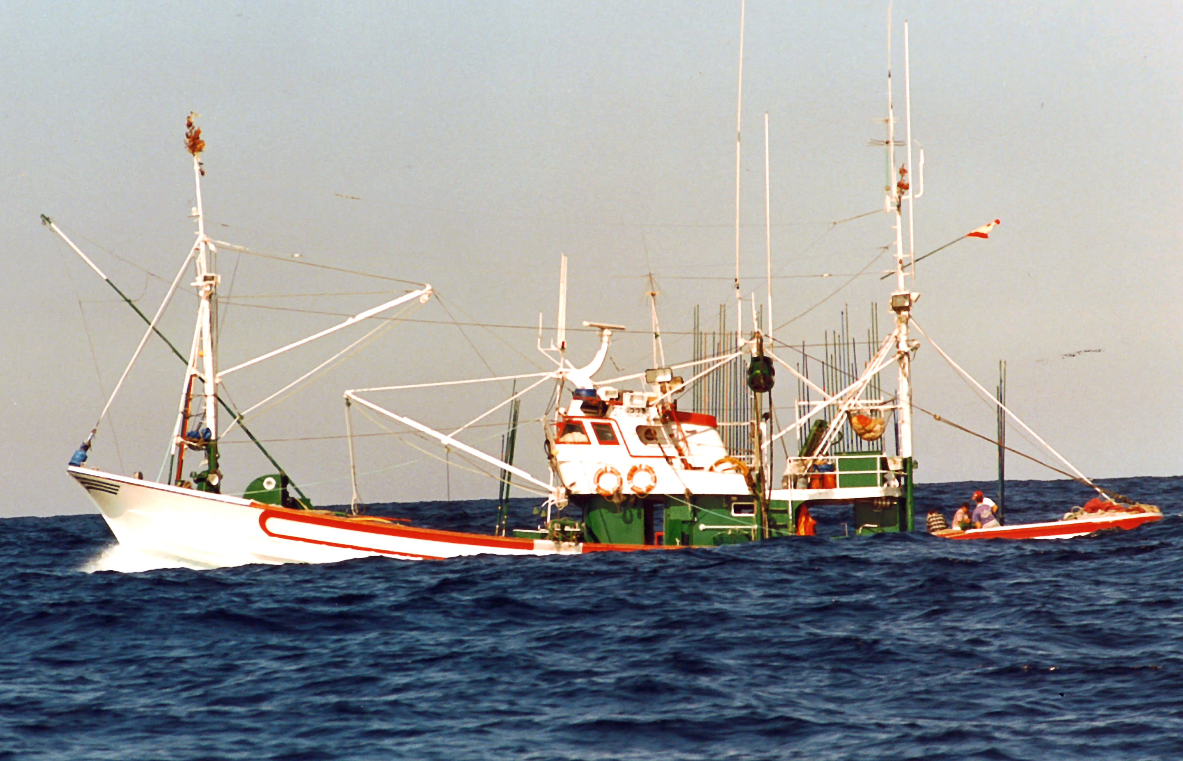 
AmparoMari3                    