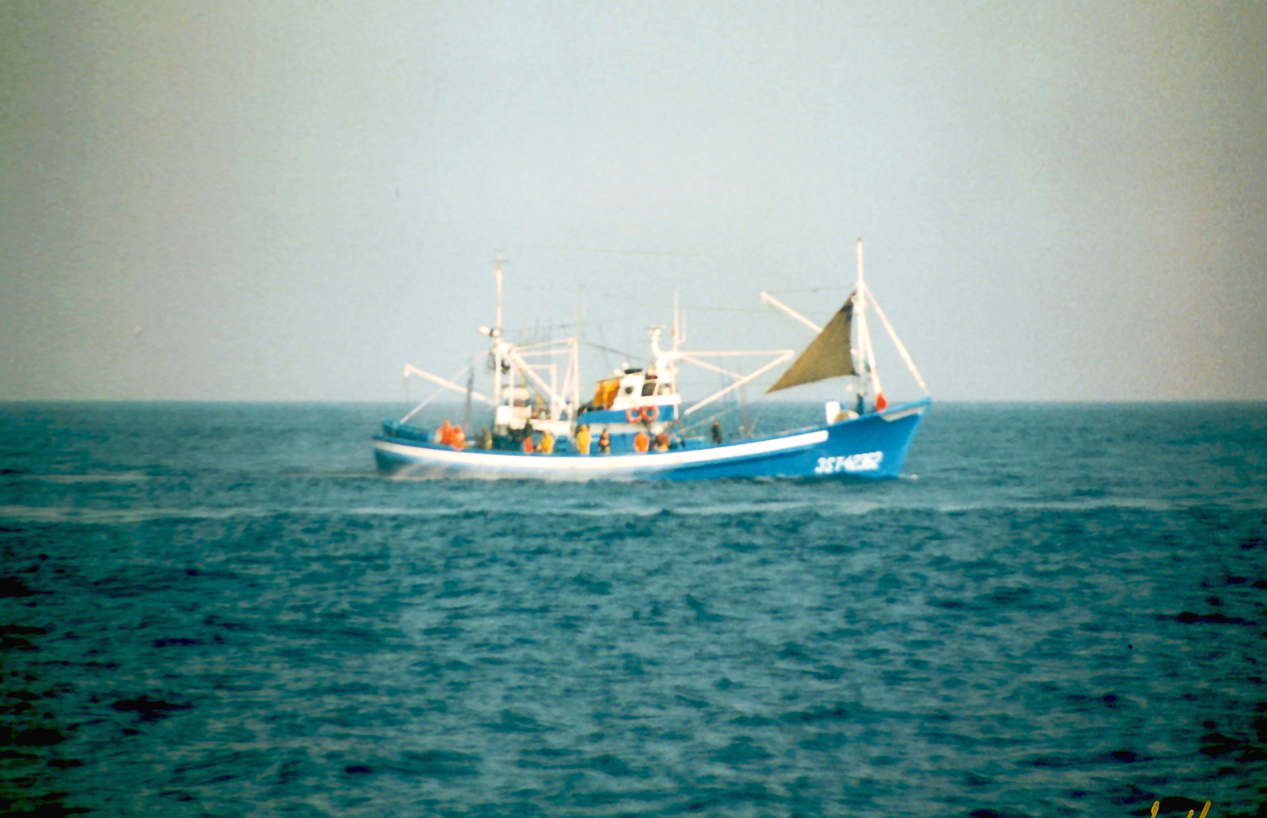
ColladoLindo                    