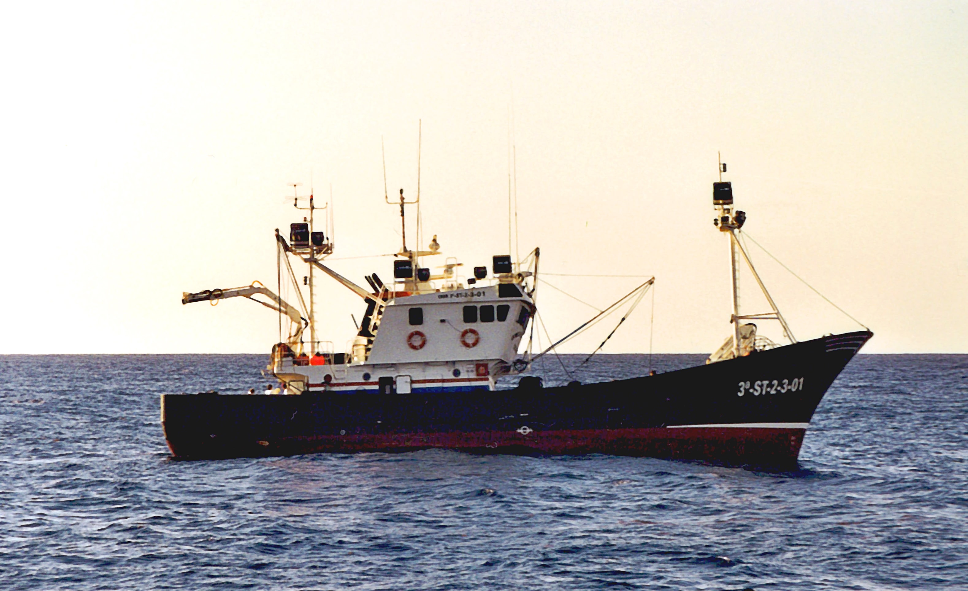 
EstrellaPolarPrimero                    