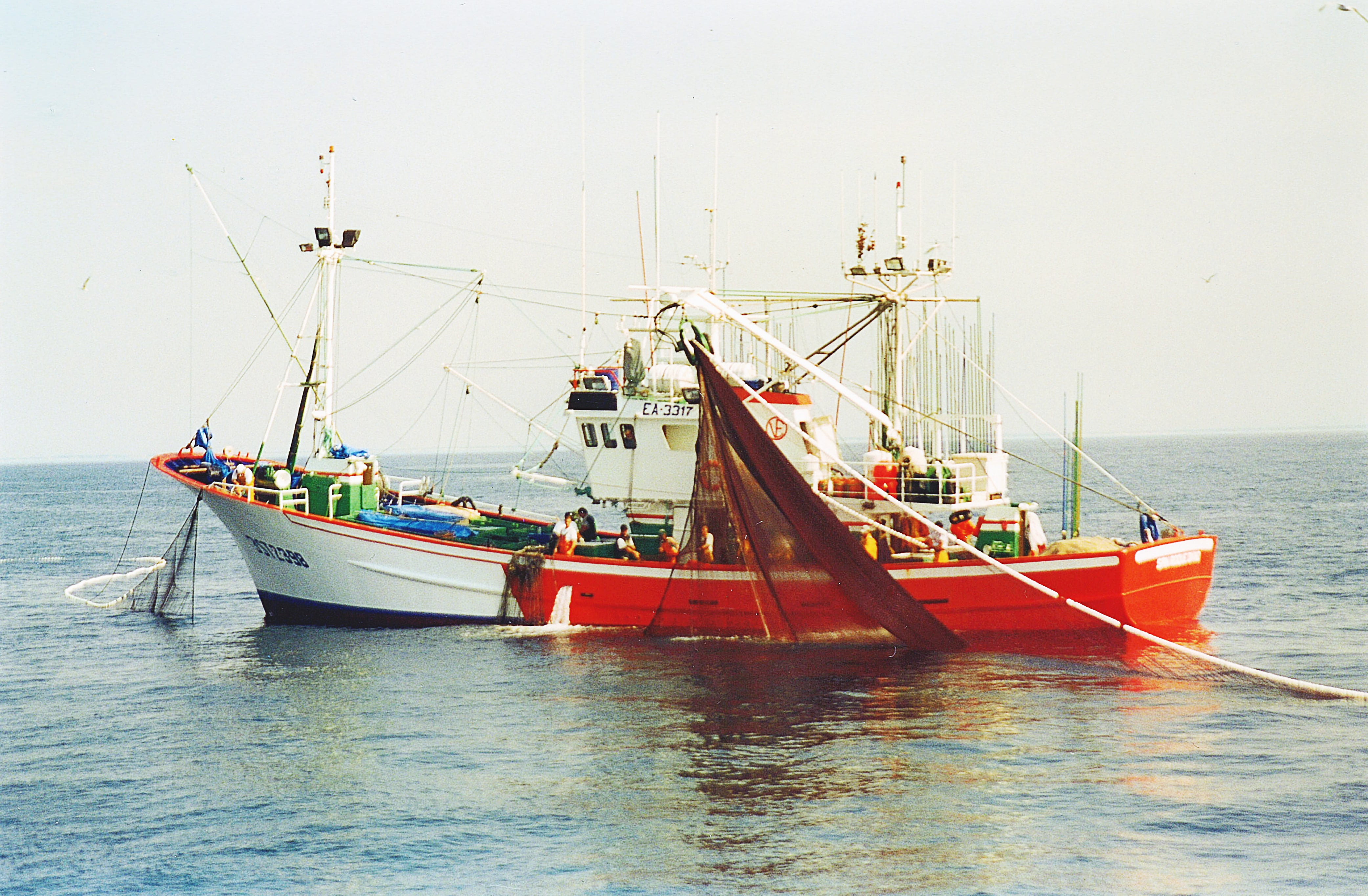 
SanRoqueDivino3                    