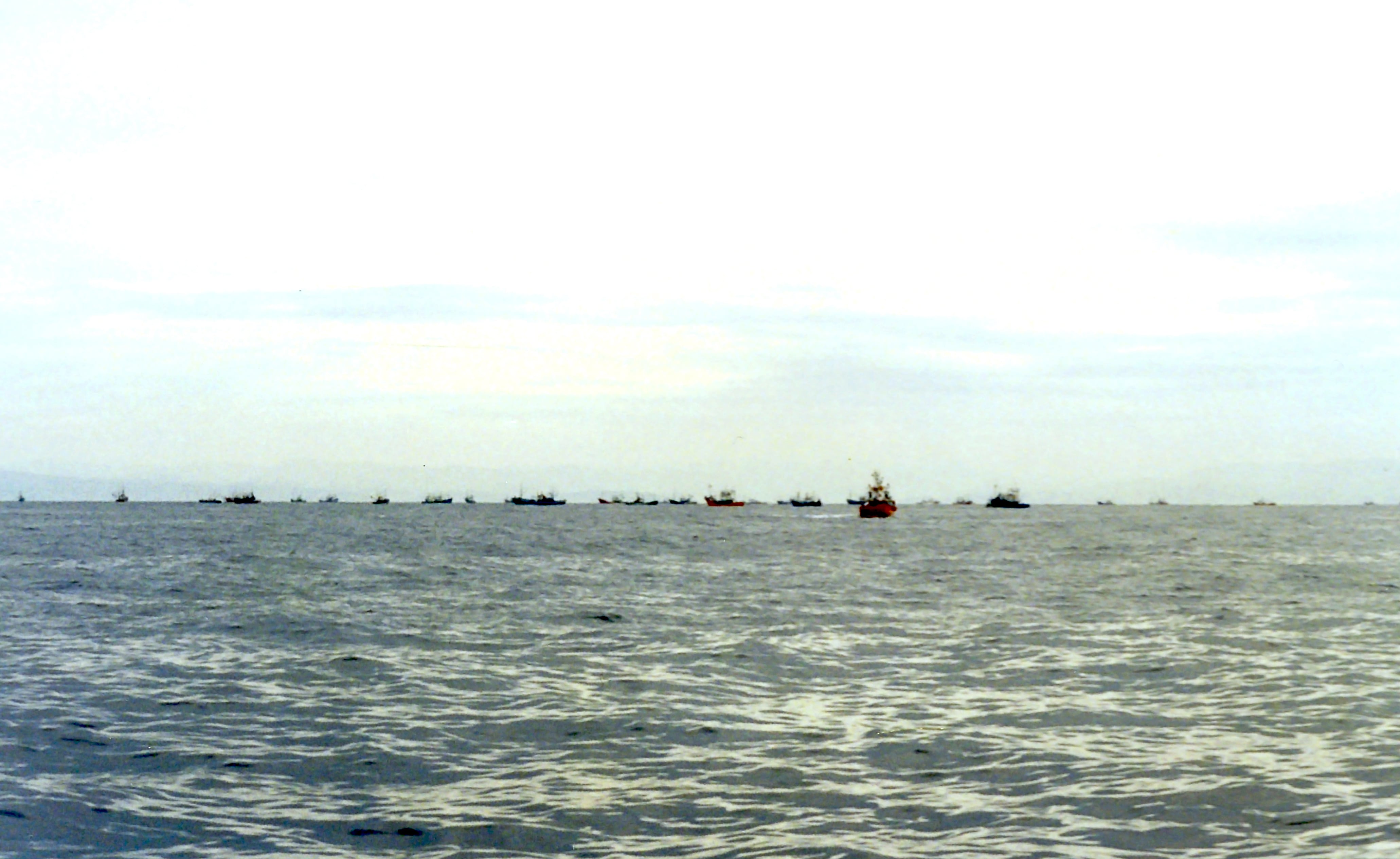 
barcos                    