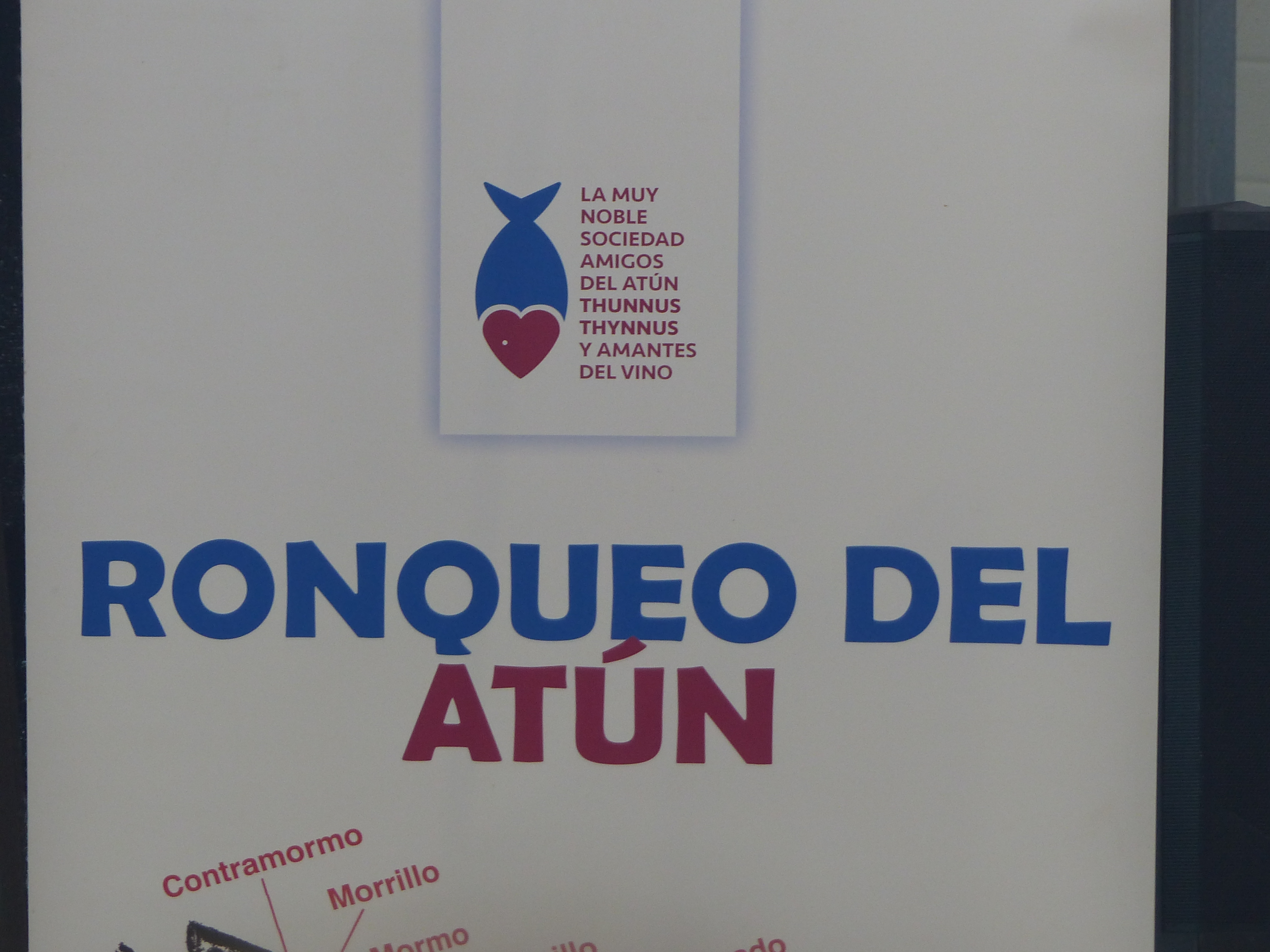 
RonqueoAtun2024                    